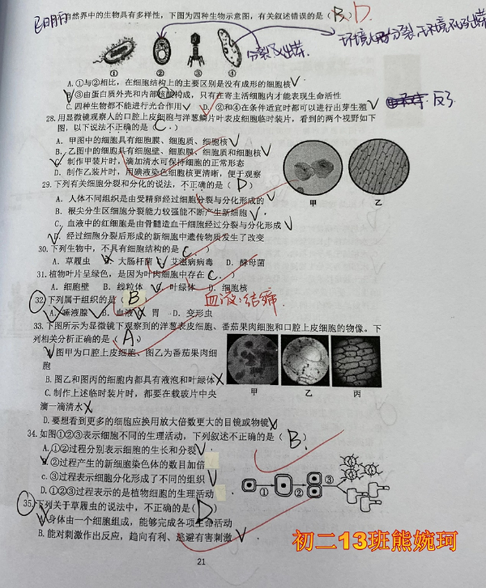 image031.png