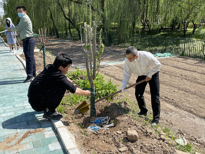 植树为绿化，植树为教育——北京市第二十中学党委行政党总支开展“珍爱绿色，珍爱我们共同的家园” 植树绿化主题党日活动