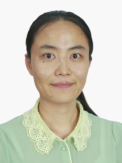海淀区学科带头人杨柳（数学）