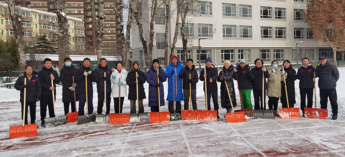 【主题教育（八）】党员干部齐上阵，志愿服务扫积雪