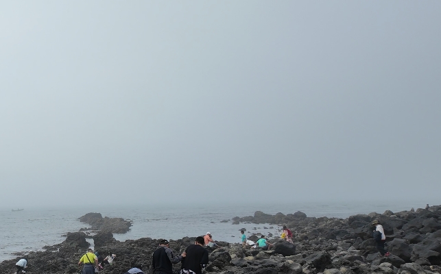 图6 火山海岸地貌.png