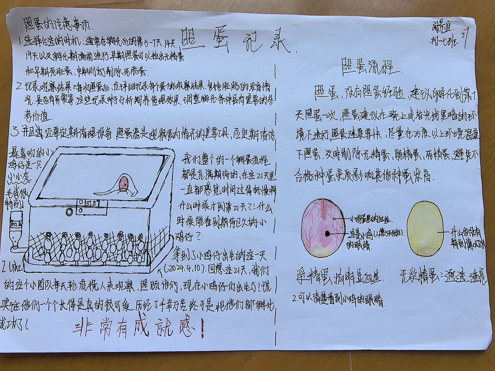 图16.jpg