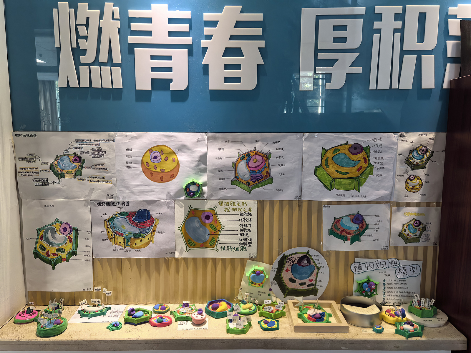 图4.jpg