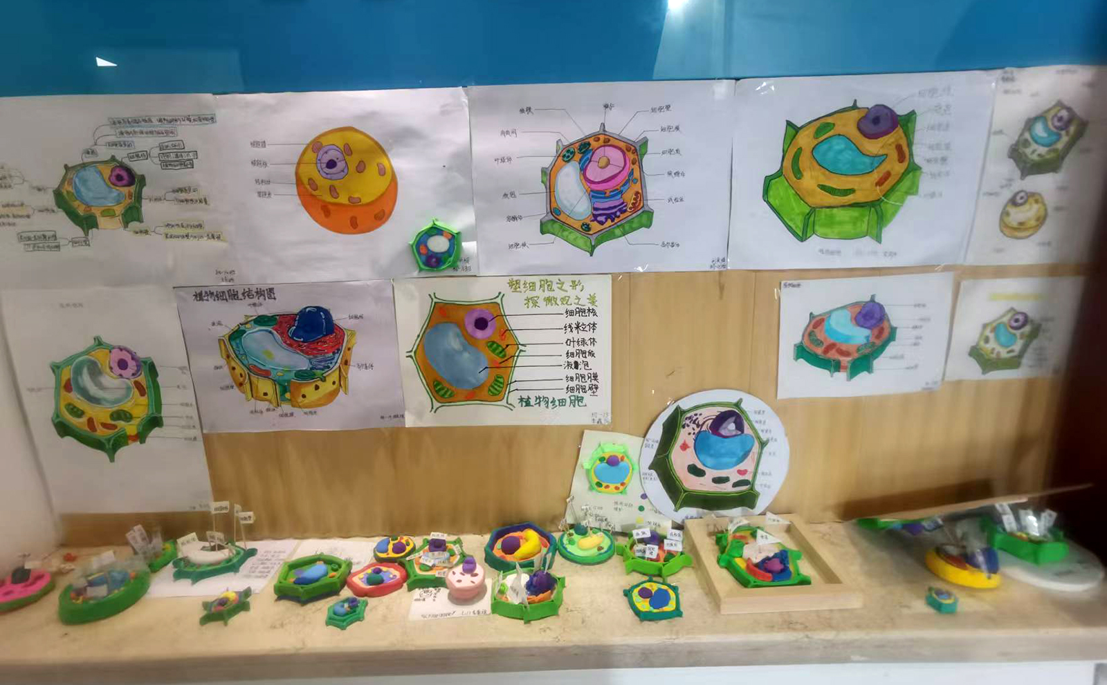 图5.jpg