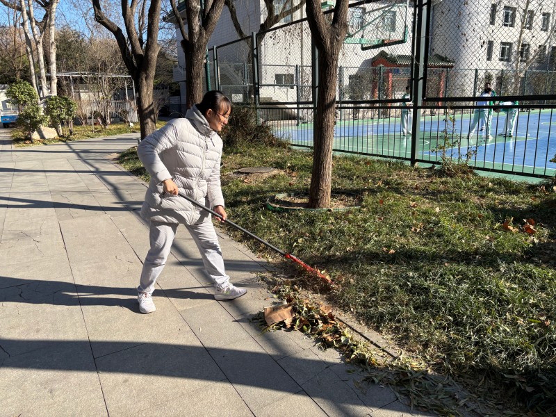 高二党支部开展校园扫落叶活动，美化校园环境