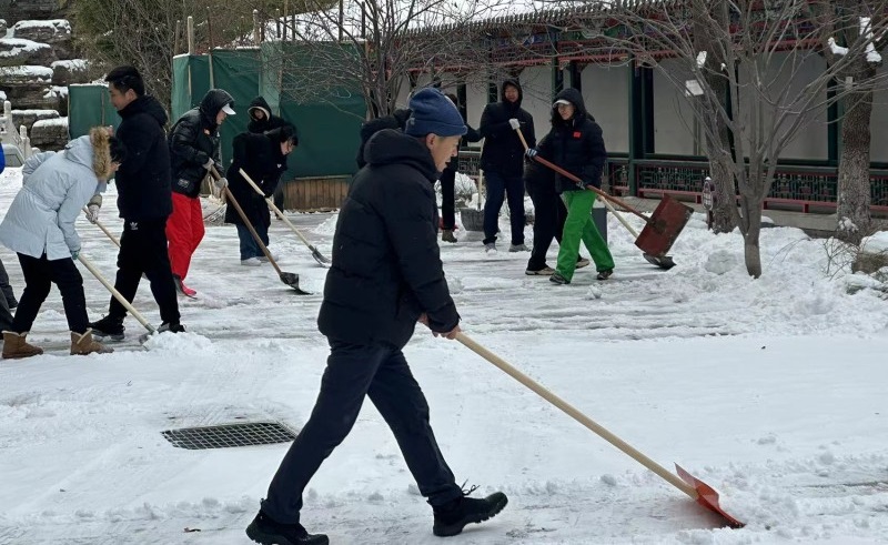 【主题教育】党员干部齐上阵 志愿服务扫积雪