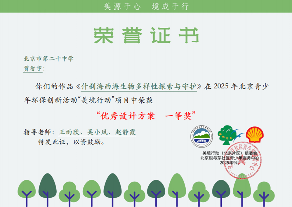 我校在全国青少年美境行动比赛中斩获多项一等奖