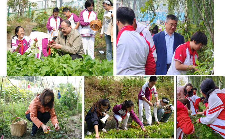 躬耕乐道，秋实满园 | 第三届校园丰收节圆满落幕！