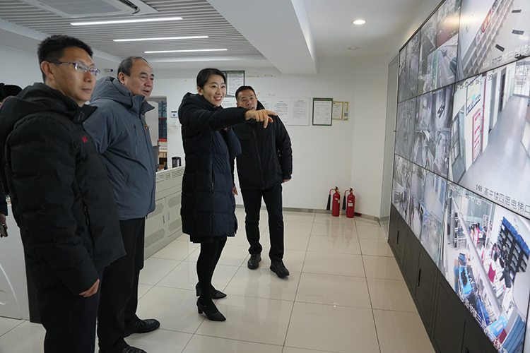 筑牢安全防线，护航平安校园——教委领导莅临开展校园安全专项检查