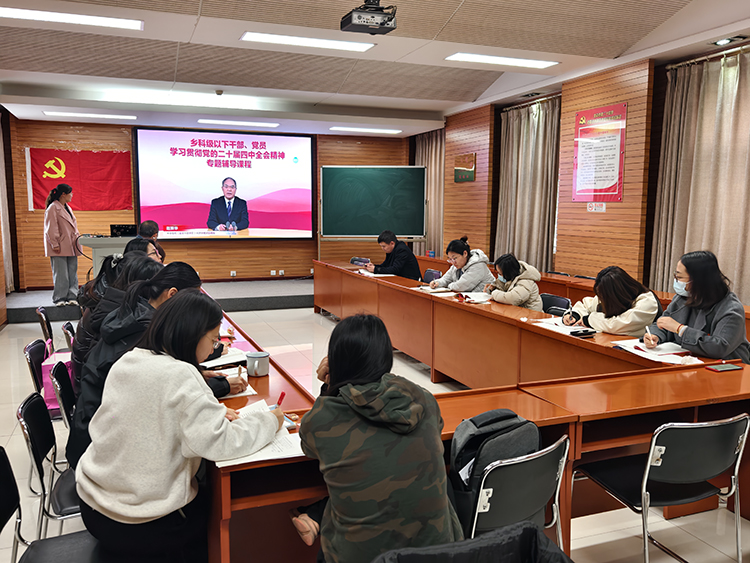 薪火相传守初心，追“锋”逐光向未来——初一年级党支部开展主题党日活动